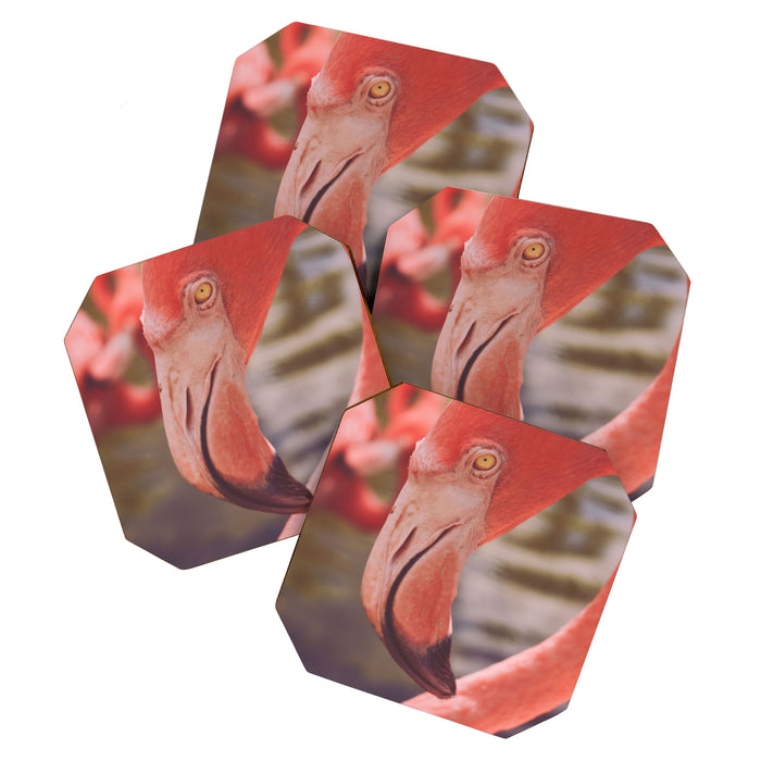 Pink Flamingo II Coaster Gallery Image 1