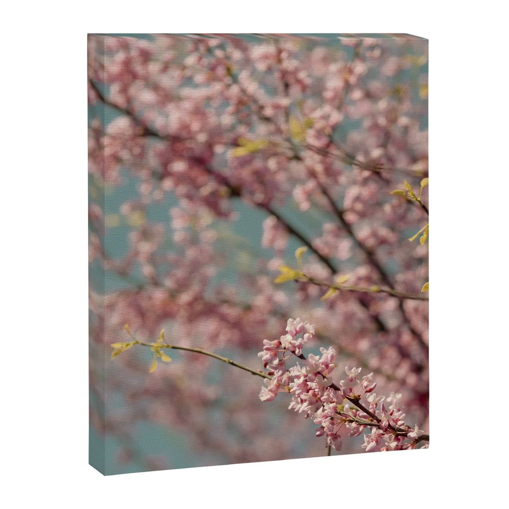 Pink Flower Abstract - redbud tree spring art Canvas Print Gallery Image 6
