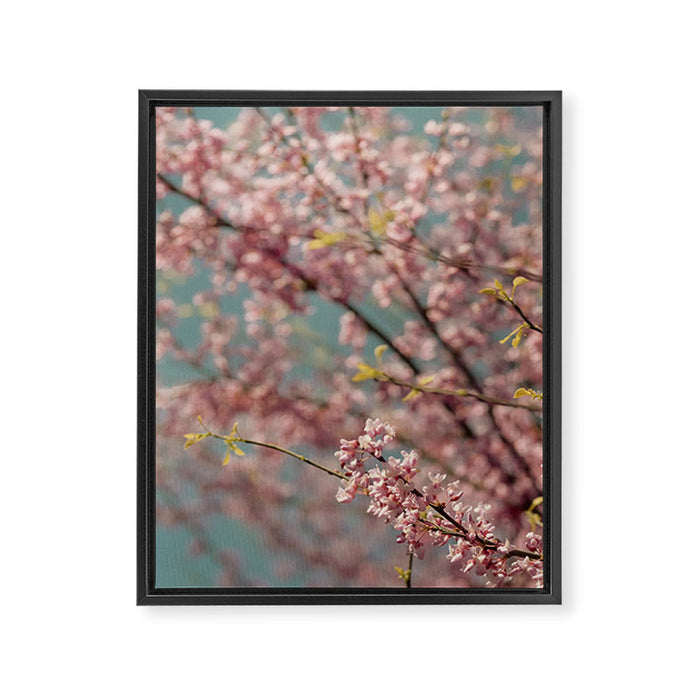 Pink Flower Abstract - redbud tree spring art Framed Canvas Print Gallery Image 1