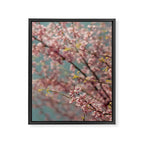 Pink Flower Abstract - redbud tree spring art Framed Canvas Print Gallery Image 6