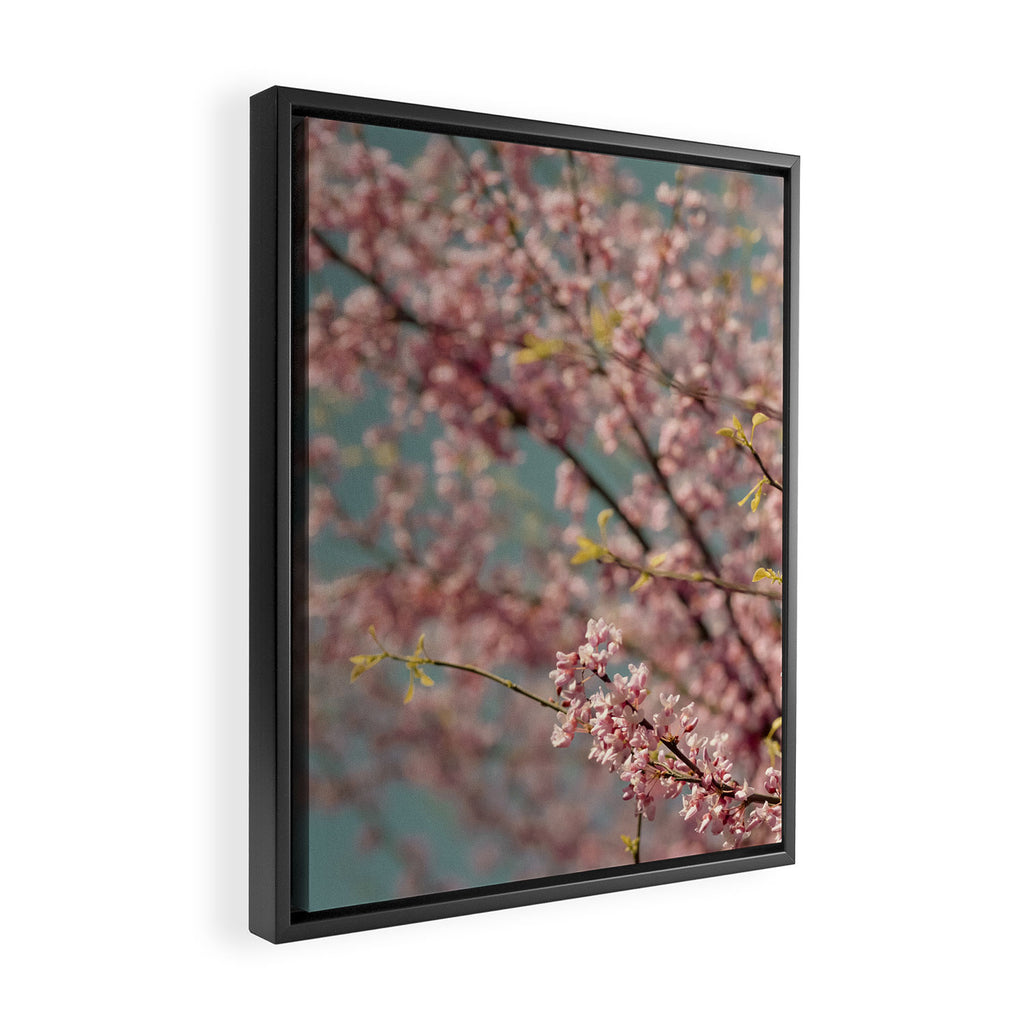 Pink Flower Abstract - redbud tree spring art Framed Canvas Print Gallery Image 2