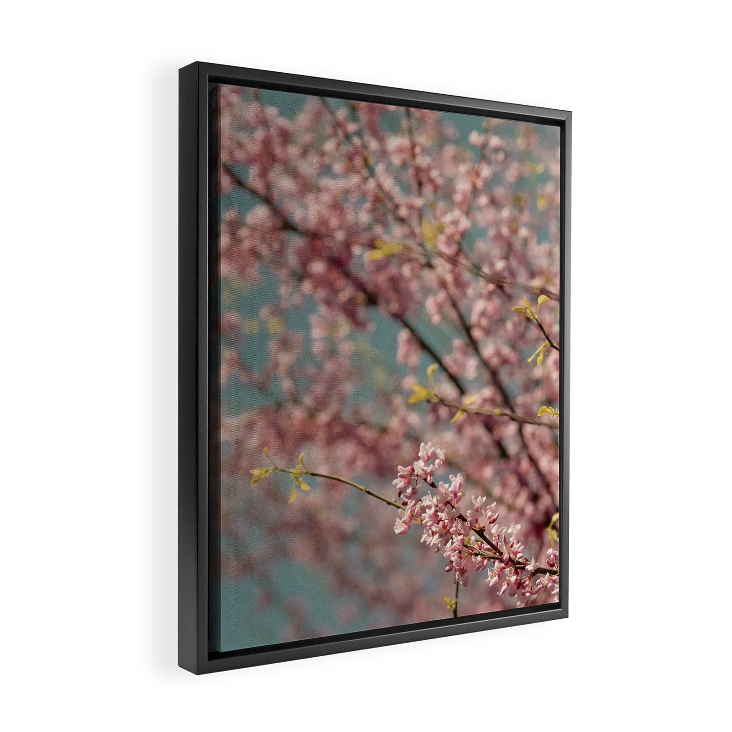 Pink Flower Abstract - redbud tree spring art Framed Canvas Print Gallery Image 2