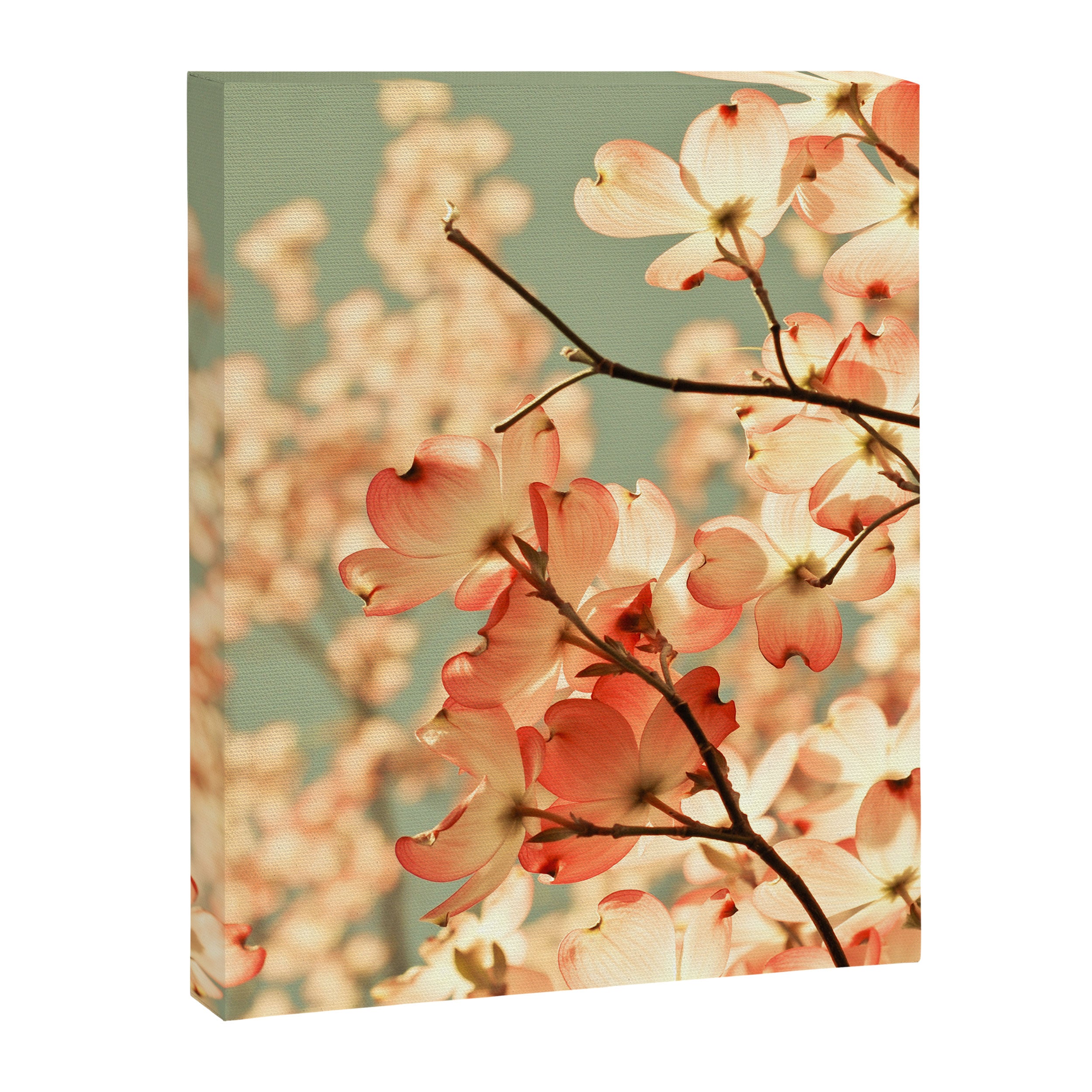 Pink Flowers on a Spring Day Canvas Print Gallery Image 8