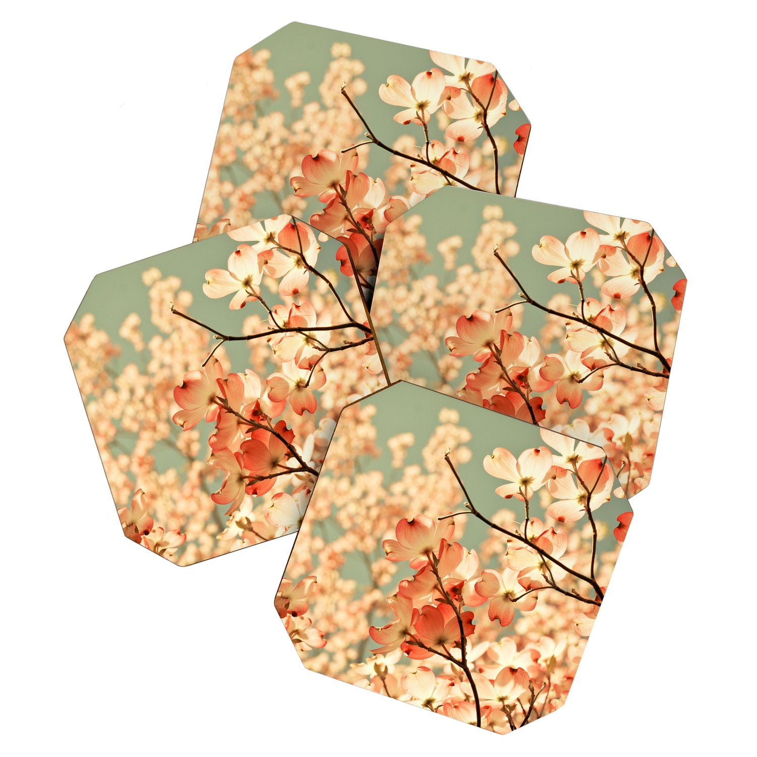 Pink Flowers on a Spring Day Coaster Gallery Image 1
