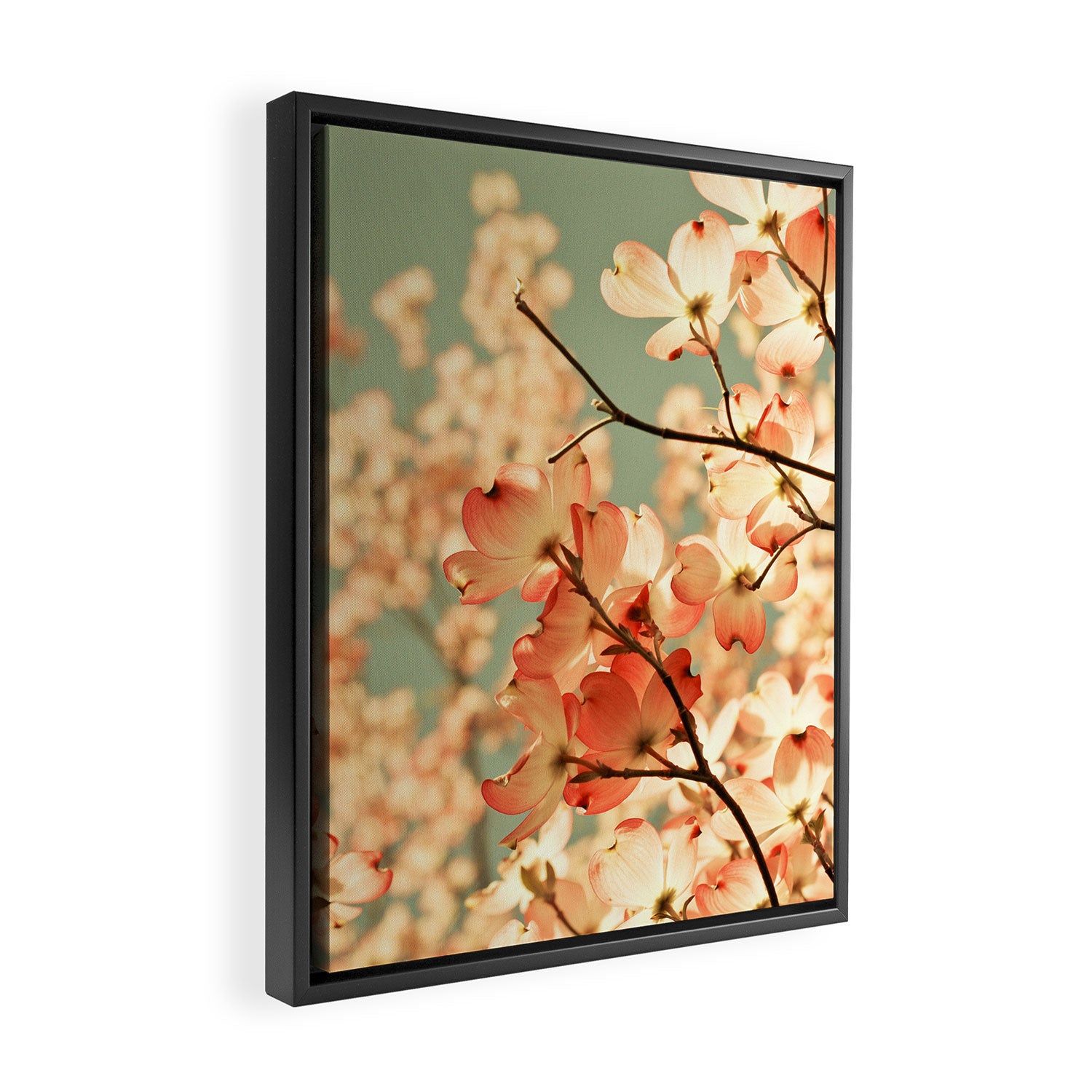 Pink Flowers on a Spring Day Framed Canvas Print Gallery Image 2