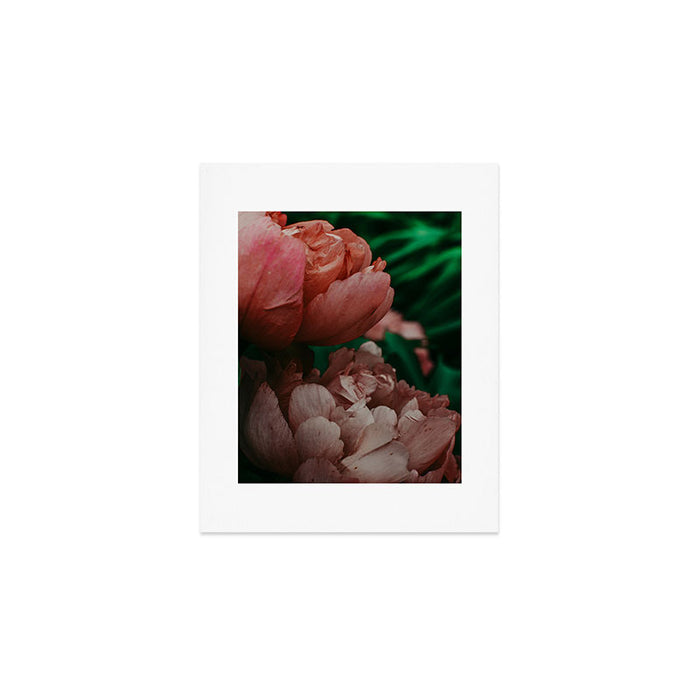 Pink Peony Flower Photographic Study 1 Art Print Gallery Image 1