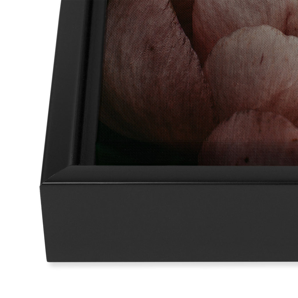 Pink Peony Flower Photographic Study 1 Framed Canvas Print Gallery Image 3