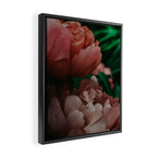 Pink Peony Flower Photographic Study 1 Framed Canvas Print Gallery Image 2