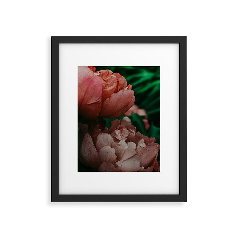 Pink Peony Flower Photographic Study 1 Framed Art Print Gallery Image 5