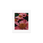 Pink Peony Flower Photographic Study 2 Art Print Gallery Image 1