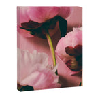 Pink Peony Love Canvas Print Gallery Image 6