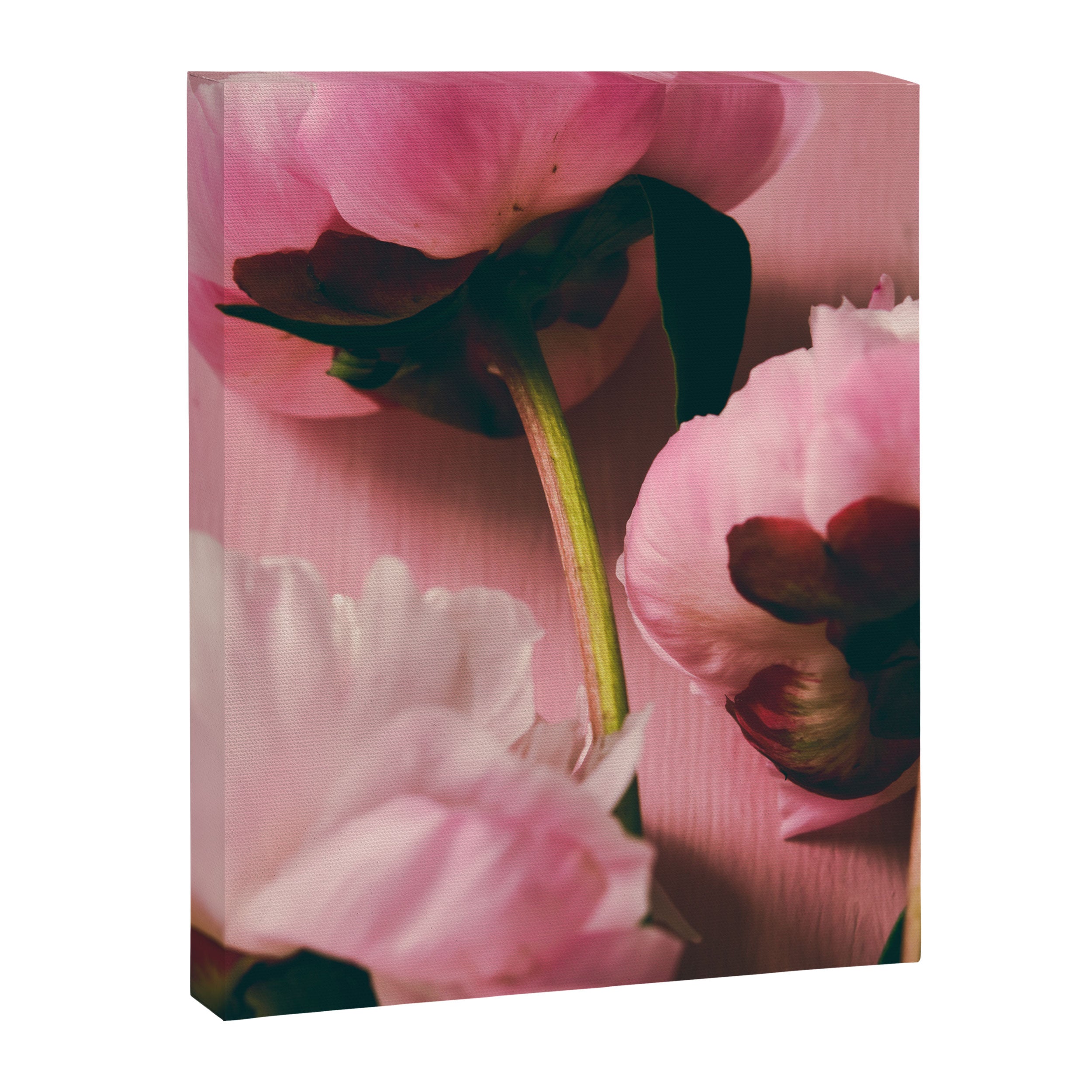 Pink Peony Love Canvas Print Gallery Image 6