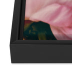 Pink Peony Love Framed Canvas Print Gallery Image 3