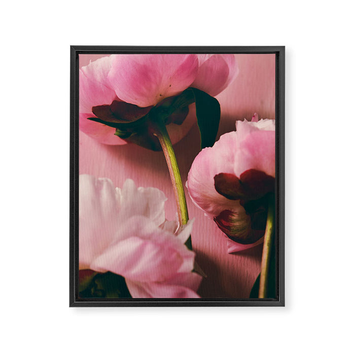 Pink Peony Love Framed Canvas Print Gallery Image 1