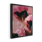 Pink Peony Love Framed Canvas Print Gallery Image 2