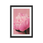 Pink Peony Love II Framed Art Print Gallery Image 2