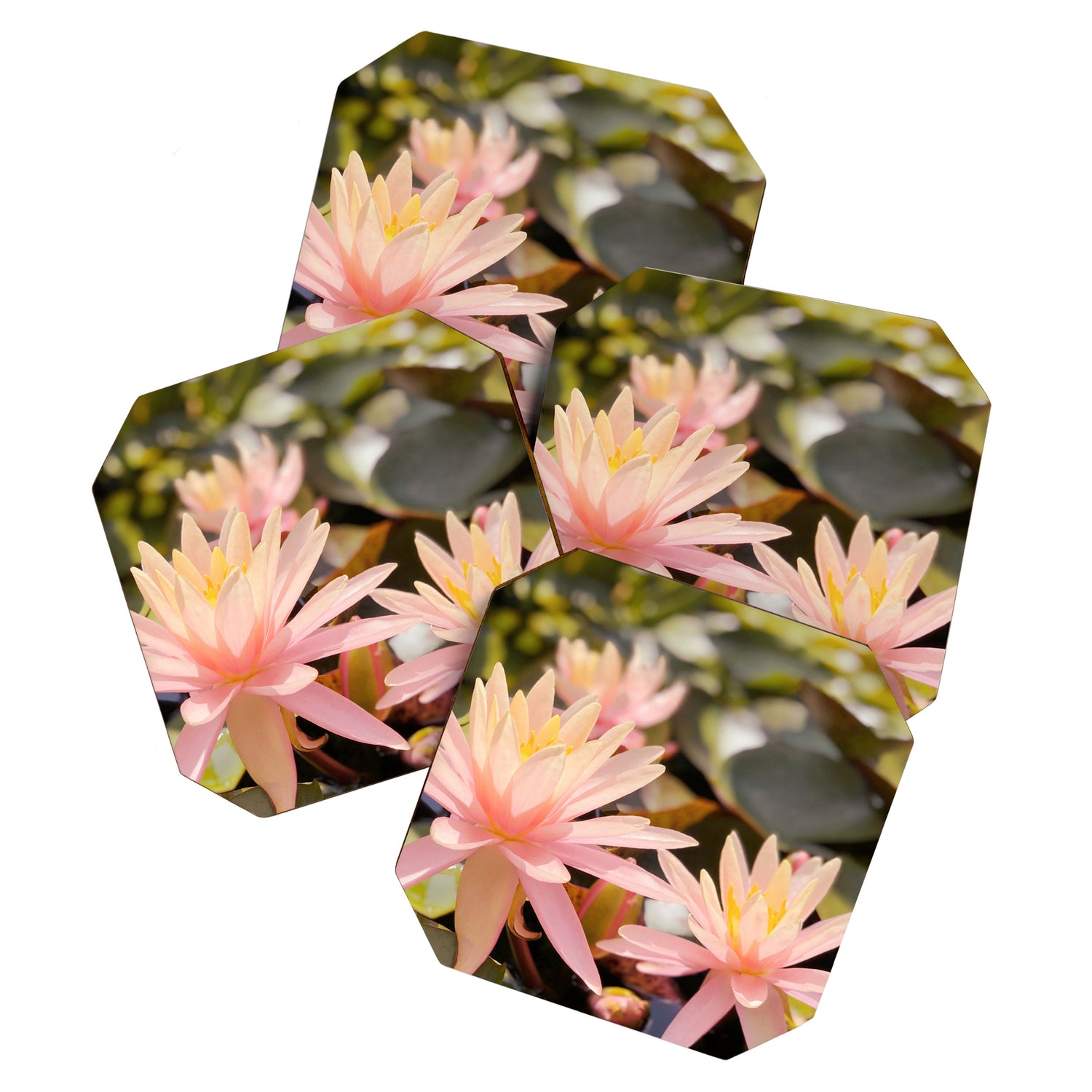 Pink Water Lily Coaster Gallery Image 1