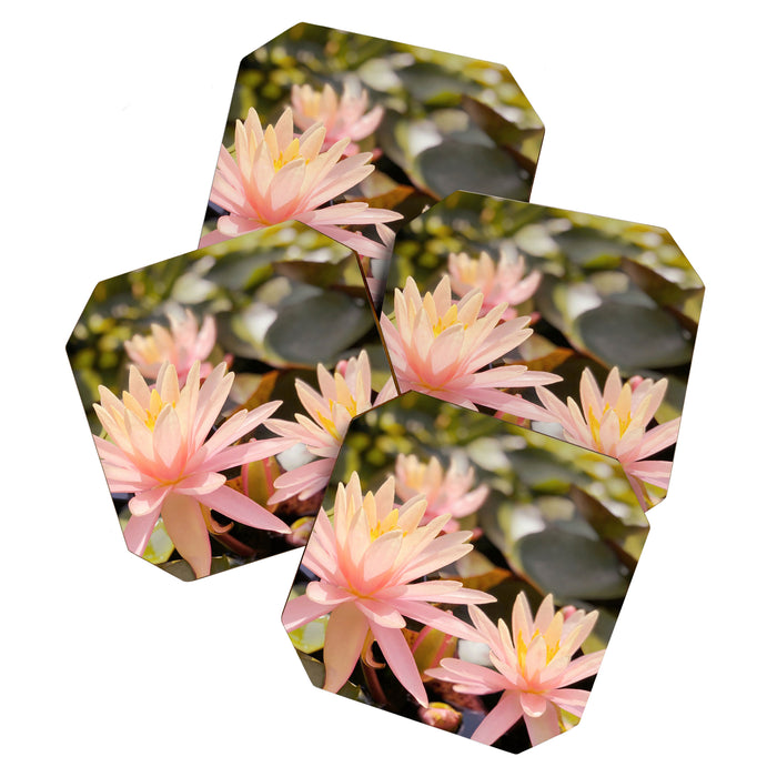 Pink Water Lily Coaster Gallery Image 1