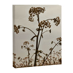 Pirouette x wildflower botanical photograph Canvas Print Gallery Image 6
