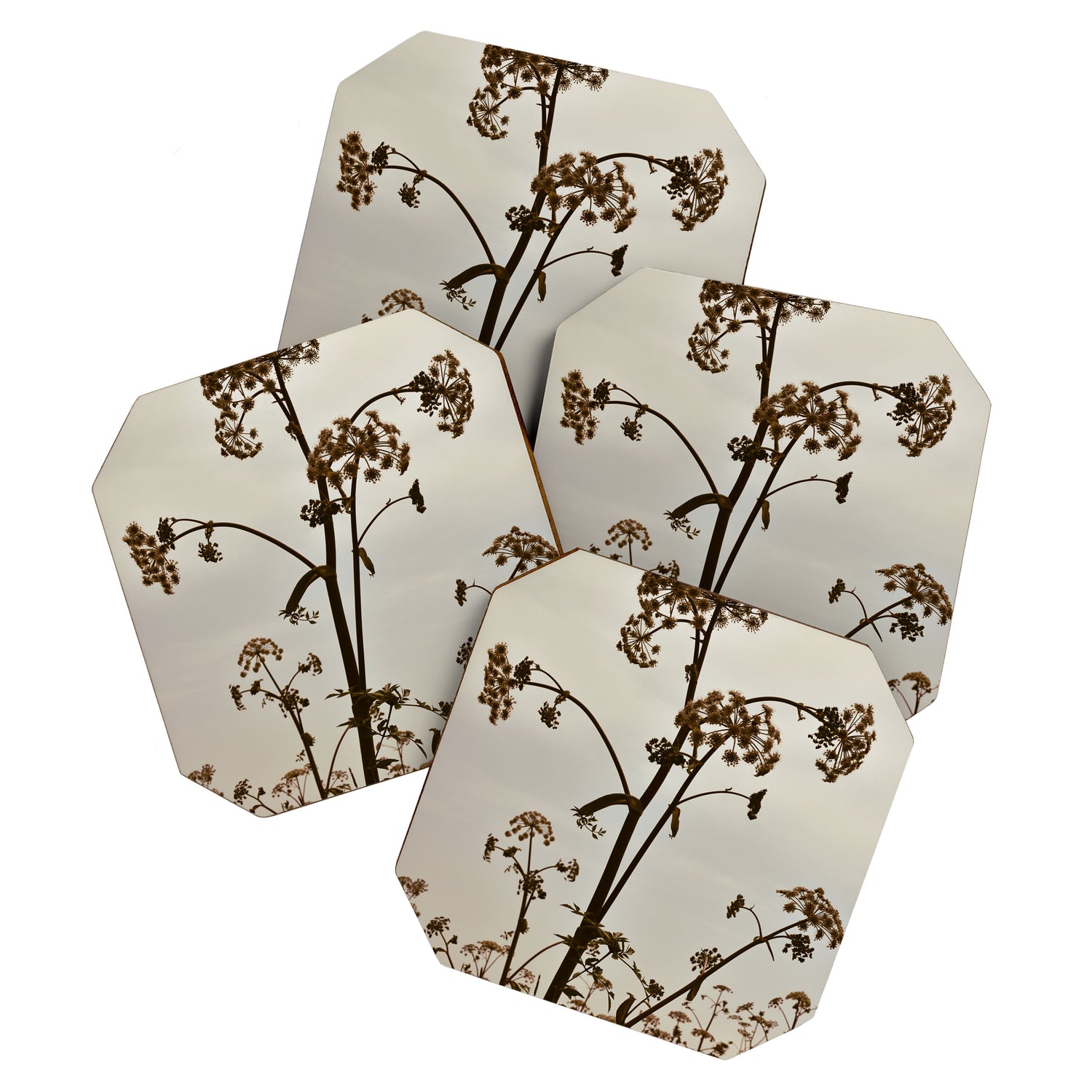 Pirouette x wildflower botanical photograph Coaster Gallery Image 1