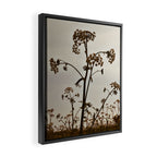 Pirouette x wildflower botanical photograph Framed Canvas Print Gallery Image 2