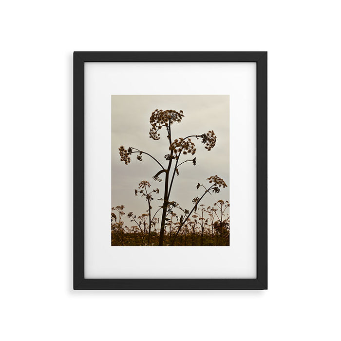 Pirouette x wildflower botanical photograph Framed Art Print Gallery Image 1