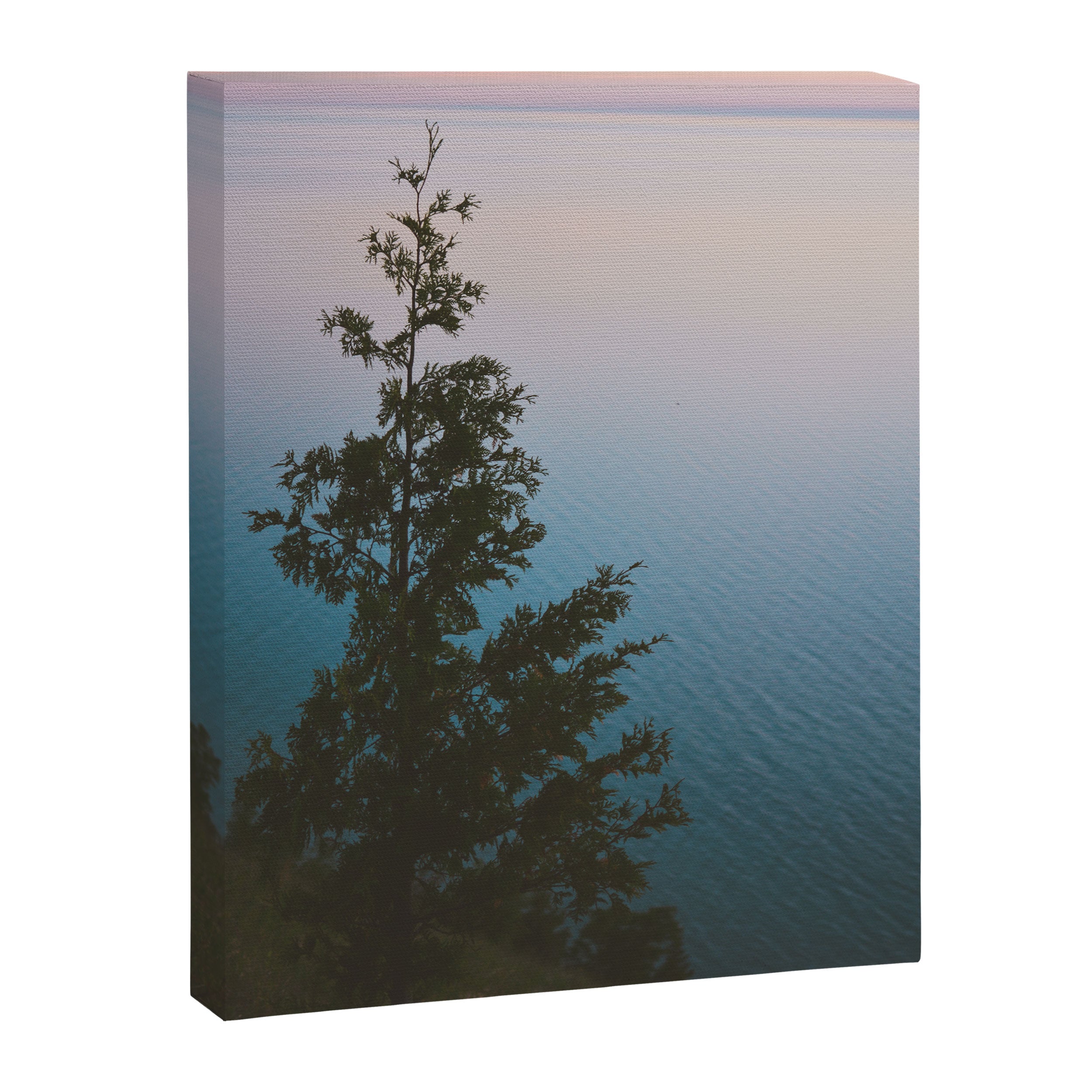 Poetry of a Summer Evening Canvas Print Gallery Image 6