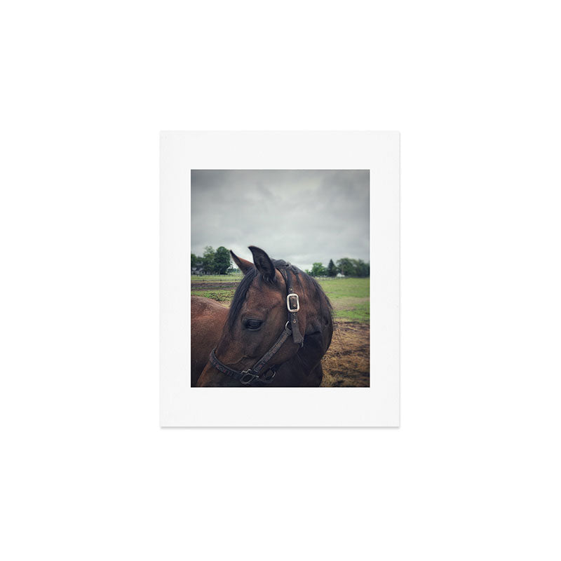 Poppy Art Print Gallery Image 1