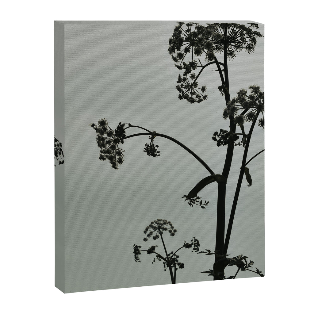 Presence x wildflower moody botanical photograph Canvas Print Gallery Image 6