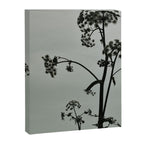 Presence x wildflower moody botanical photograph Canvas Print Gallery Image 6