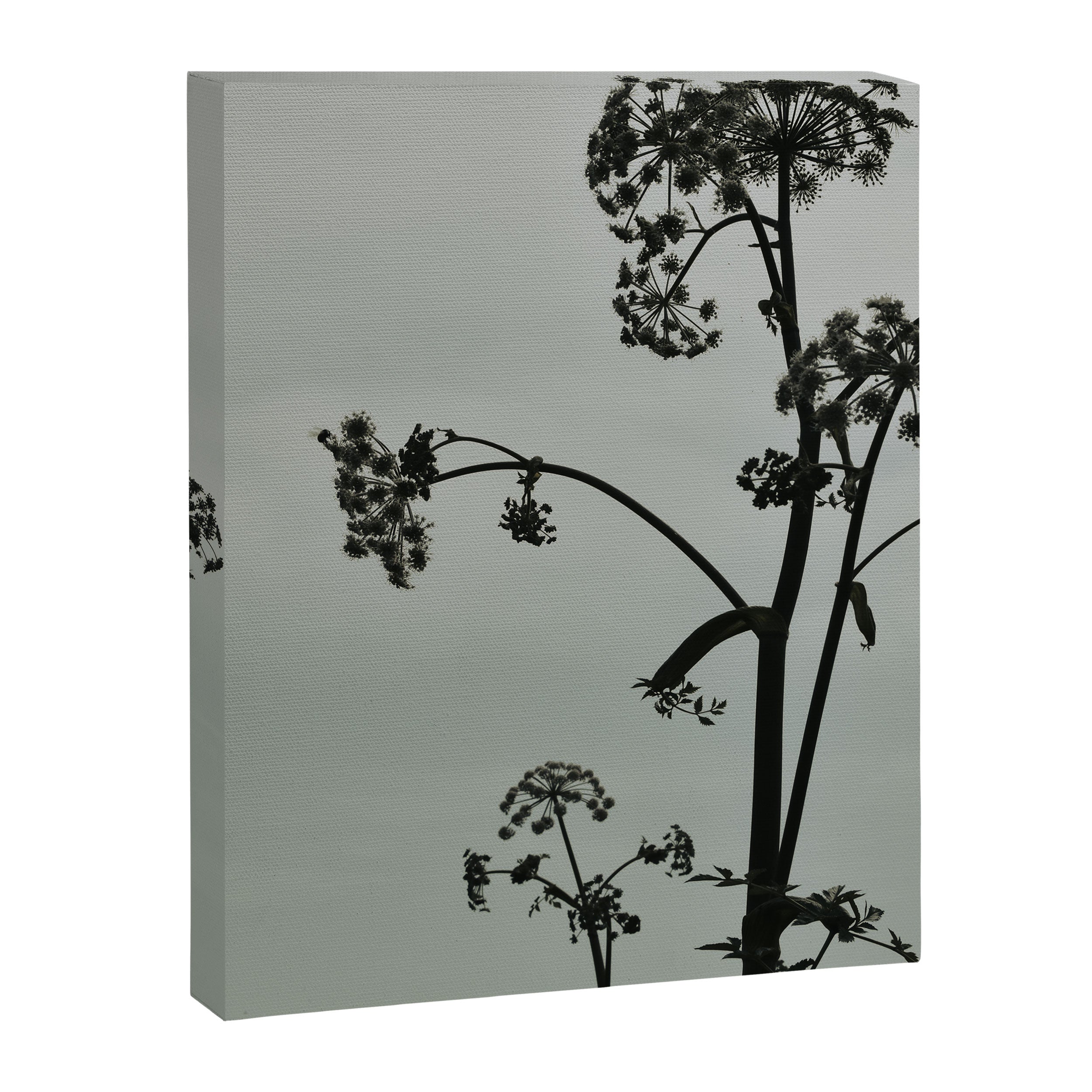 Presence x wildflower moody botanical photograph Canvas Print Gallery Image 6