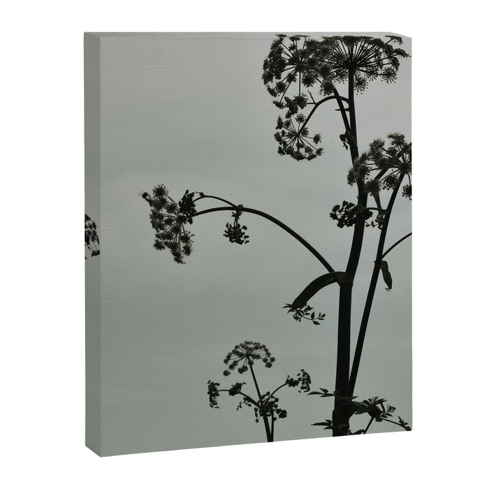 Presence x wildflower moody botanical photograph Canvas Print Gallery Image 1