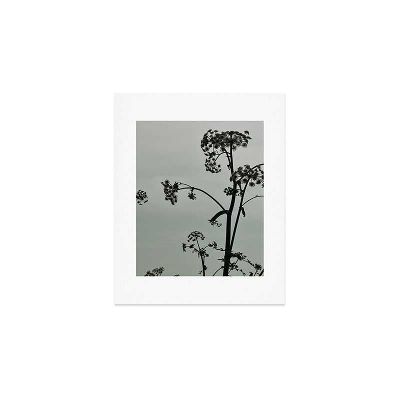 Presence x wildflower moody botanical photograph Art Print Gallery Image 1