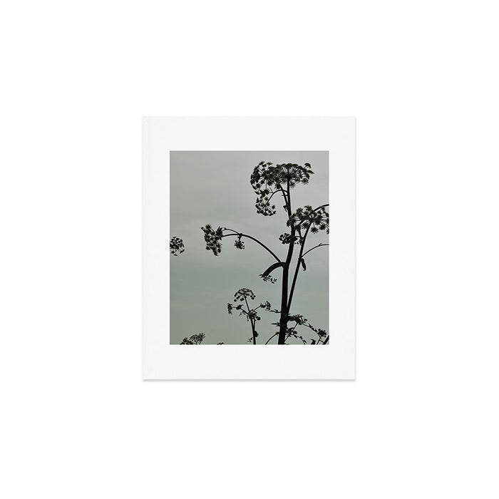 Presence x wildflower moody botanical photograph Art Print Gallery Image 1