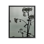 Presence x wildflower moody botanical photograph Framed Canvas Print Gallery Image 6