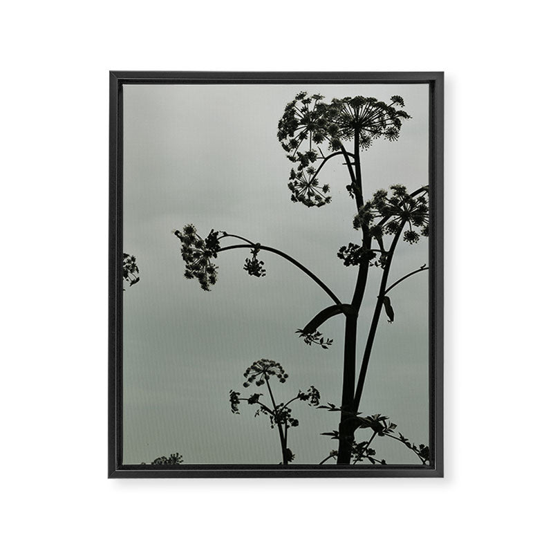 Presence x wildflower moody botanical photograph Framed Canvas Print Gallery Image 6