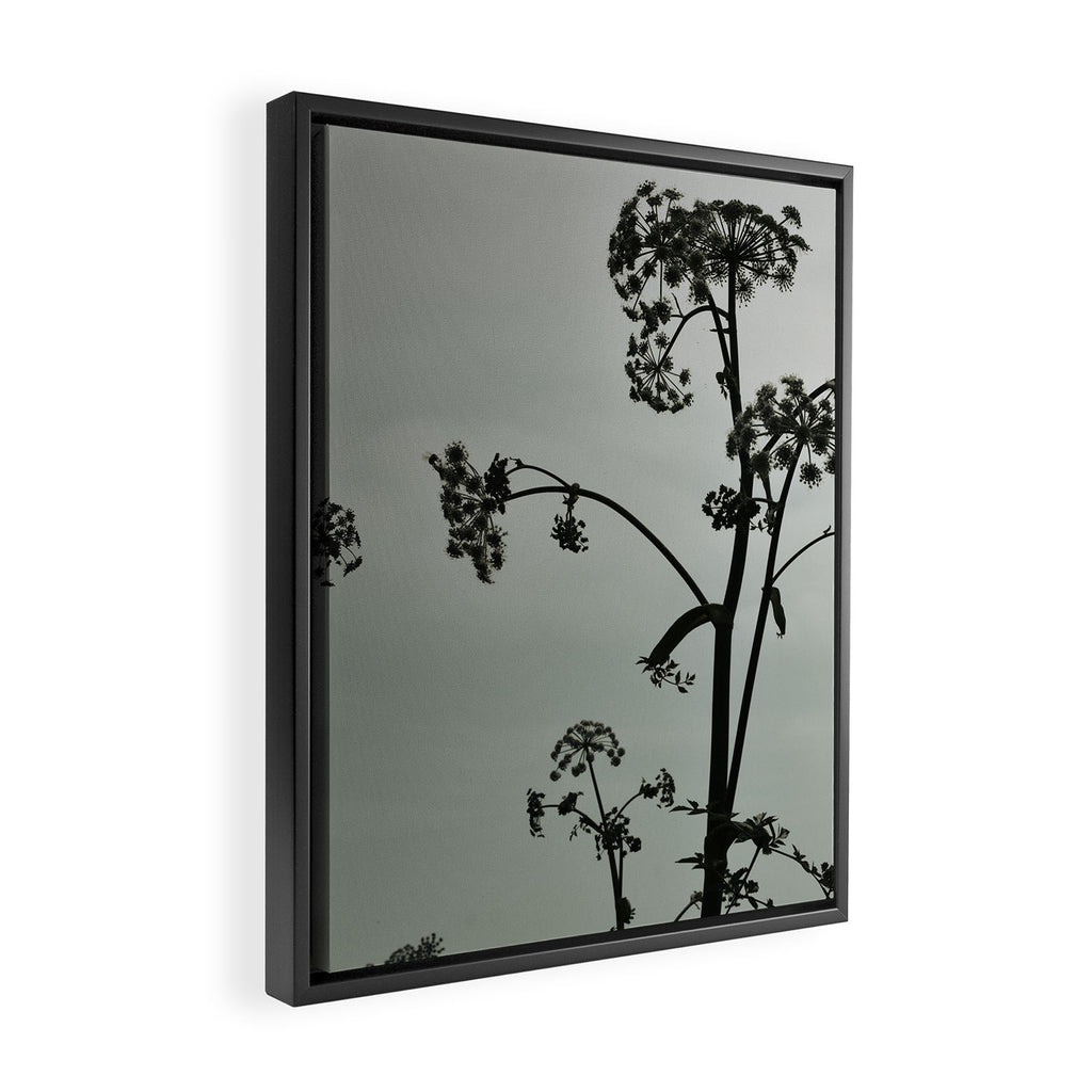 Presence x wildflower moody botanical photograph Framed Canvas Print Gallery Image 2