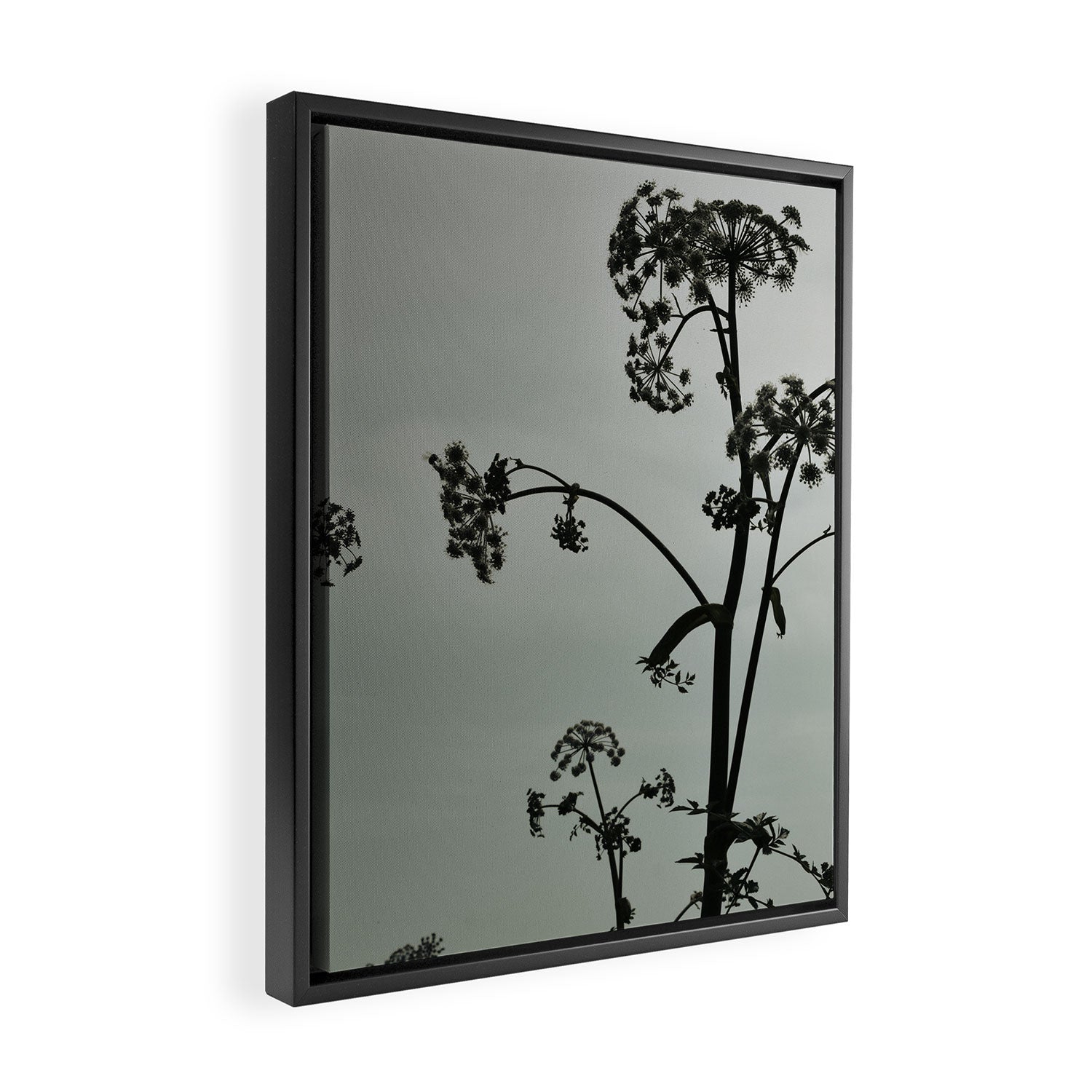 Presence x wildflower moody botanical photograph Framed Canvas Print Gallery Image 2