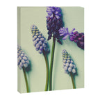 Pretty Blue Flowers Canvas Print Gallery Image 6