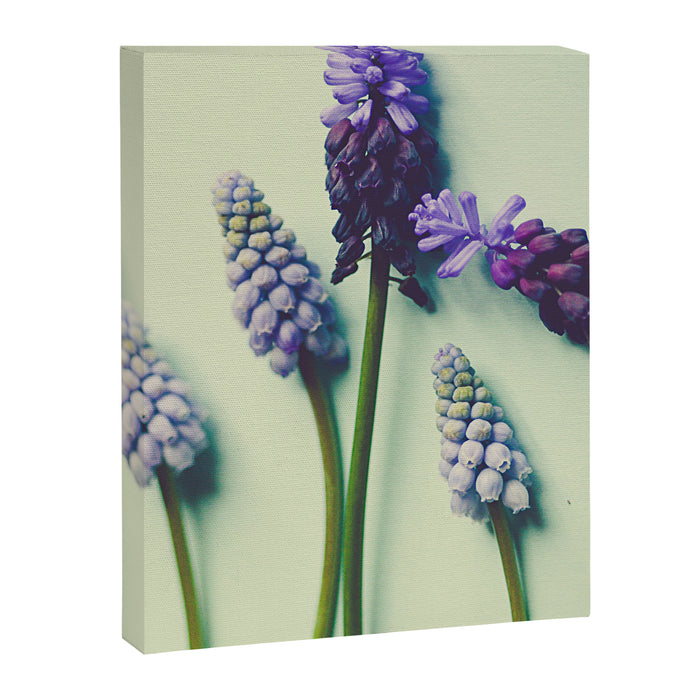 Pretty Blue Flowers Canvas Print Gallery Image 1