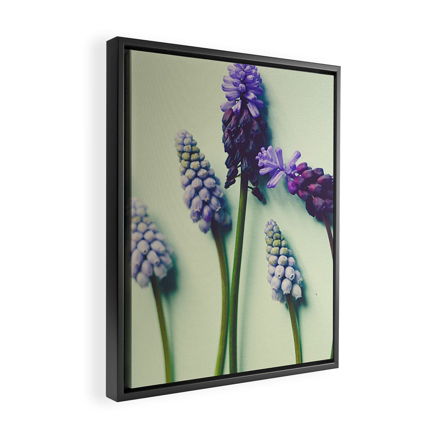 Pretty Blue Flowers Framed Canvas Print Gallery Image 2