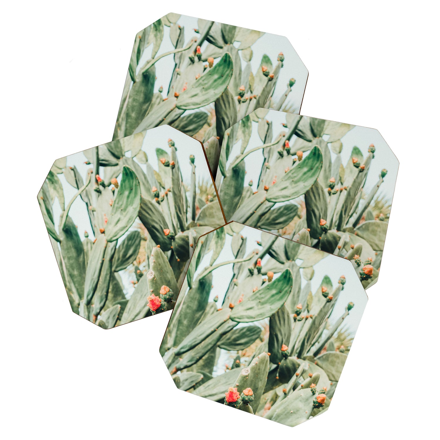 Pretty Cactus Coaster Gallery Image 1