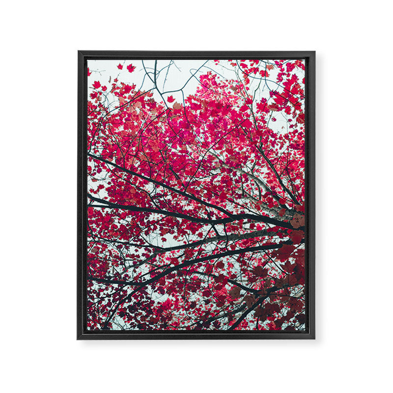 Red Leaves - Autumn Art Framed Canvas Print Gallery Image 6