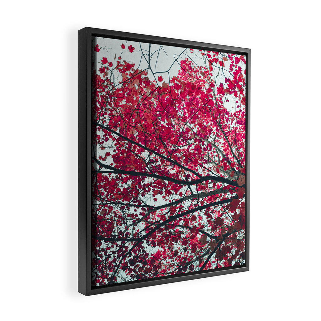Red Leaves - Autumn Art Framed Canvas Print Gallery Image 2