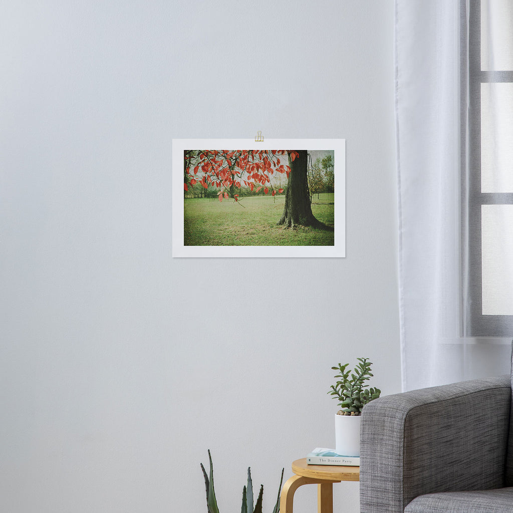 Red October Art Print Gallery Image 3