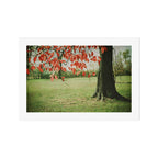 Red October Art Print Gallery Image 1