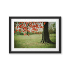 Red October Framed Art Print Gallery Image 2