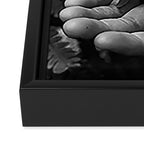 Reverence - botanical hand and fern photograph  Framed Canvas Print Gallery Image 3