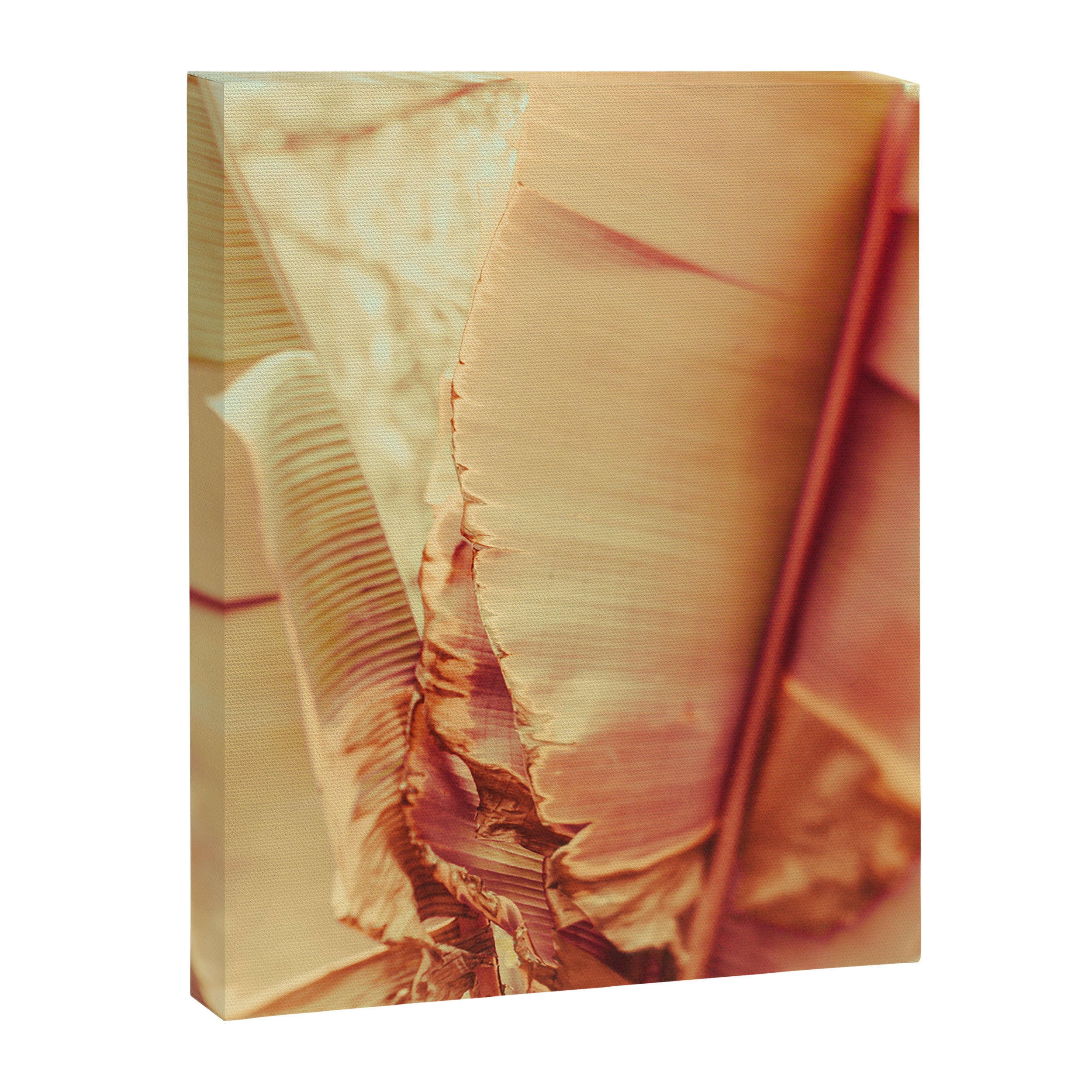 Rosé Canvas Print Gallery Image 6