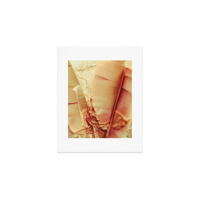 Rosé Art Print Gallery Image 1